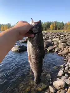Сегежа Парк - 27