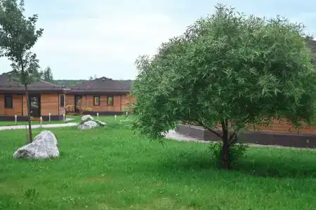 Сезоны - 46