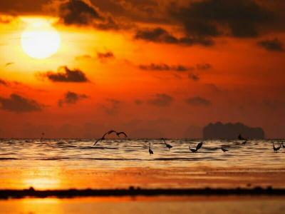 ibis Styles Phuket City - 35