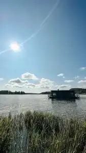Ladoga Seal - 50