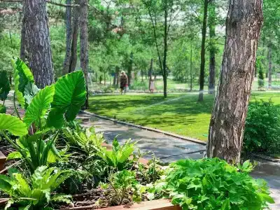 Forrest - 6