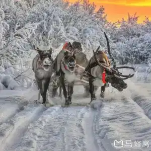 Медвежий угол - 20
