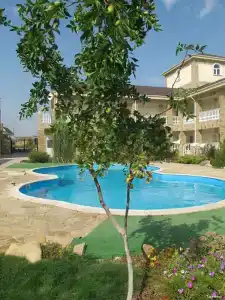 Тарпанчи - 25