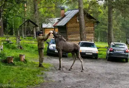 Кордон у трех вершин - 3