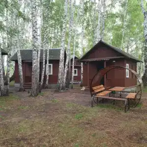 Березка - 19
