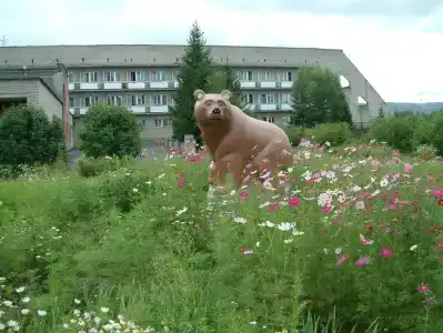 Солнечный - 8