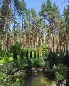 Чайка - 47