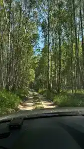 Лепота - 31