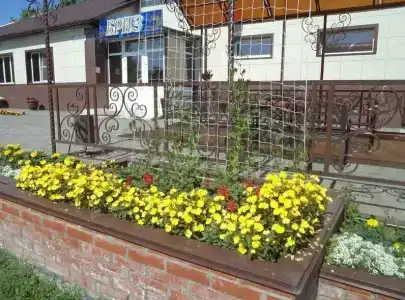 Бриз - 33