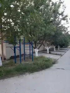 Лидия Плюс - 17
