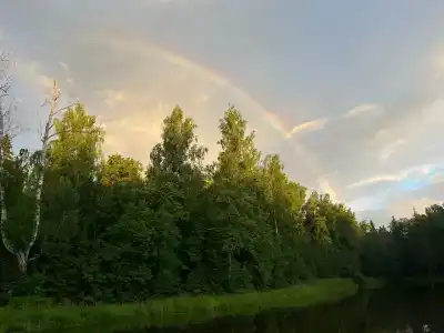 Добролес - 11