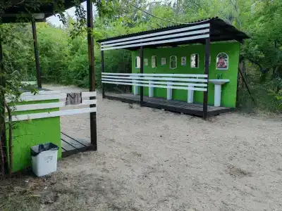 Енот - 11