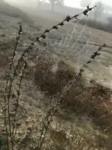 Крепкий орешек - 49
