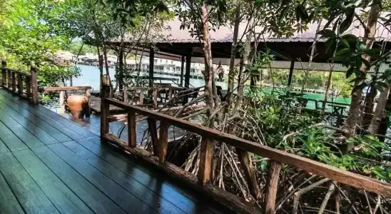Baan Rim Nam - 35