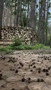 Дом для отпуска на Рахате - 26