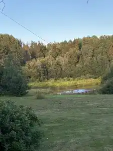 Олонецкий Хутор - 25