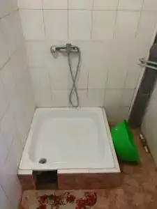 Кипарис - 18
