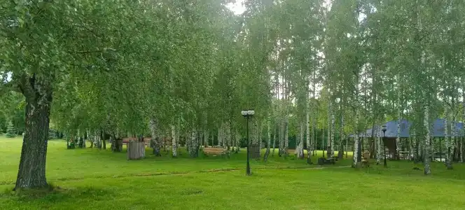 Мечта - 37
