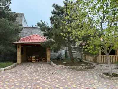 Фиеста - 12