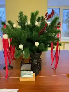 Бабаево - 13