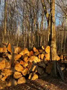 Время гор - 43