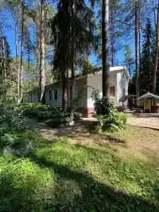 В лесу - 27