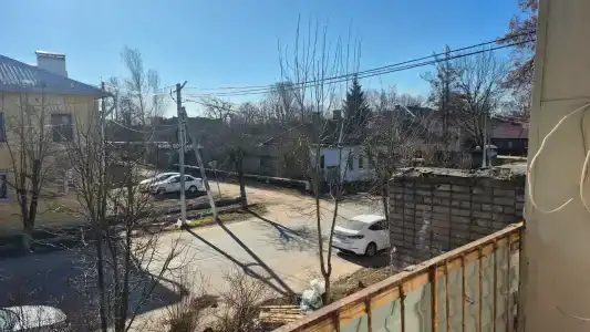 Семья - 19