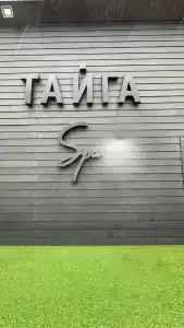 Тайга - 14