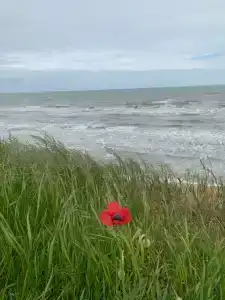 Азов Бриз - 40