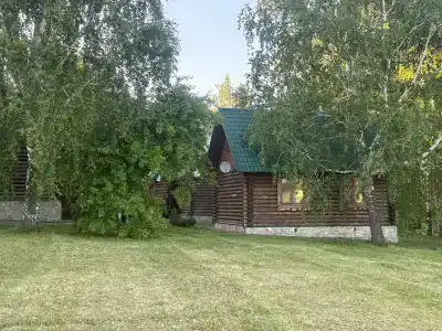 Новый ковчег - 11