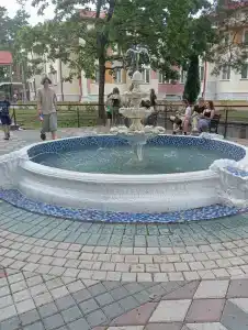 Лесные дали - 1