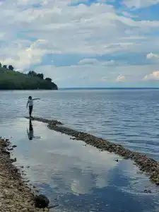 Дом Жар-Птицы - 8