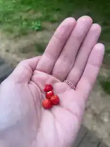 Где-то под Питером - 16