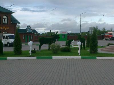 Вулкан - 38