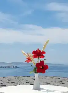 Mykonos View - 18