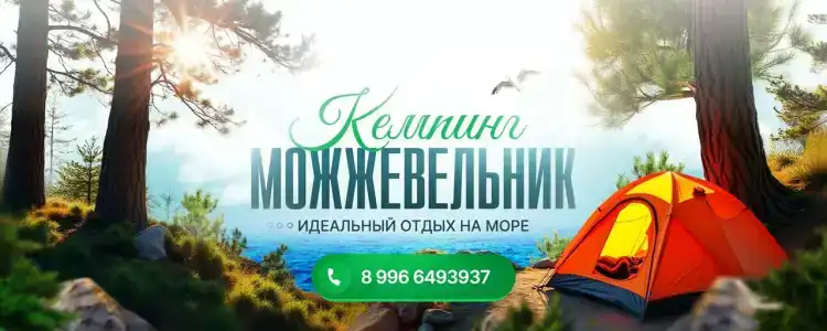 Можжевельник - 0