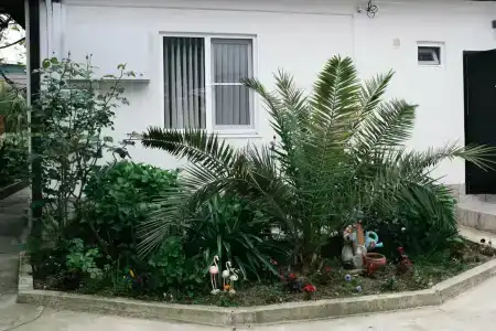 Oasis Eco-House - 14