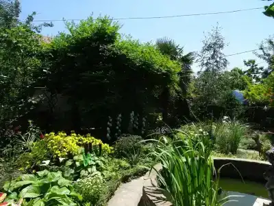 Светлячок - 15