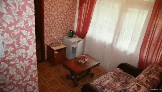 Ока - 9