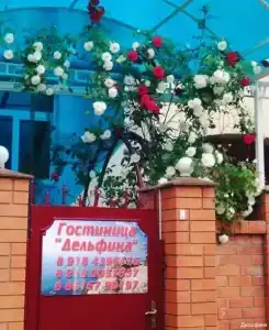 Дельфина - 4