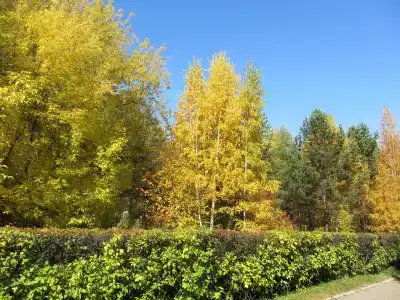 Ангара Курорт - 7