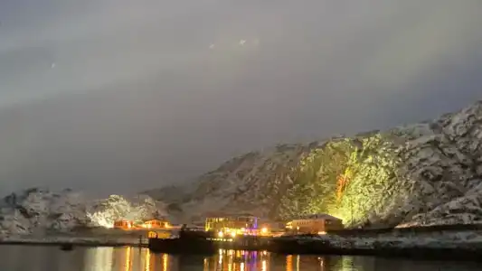 Cedar Grass Териберка - 13