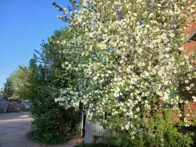 Визит - 34