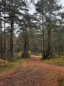 Дуплекс на Чудском озере - 32