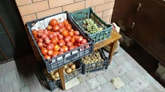 Комфорт - 49
