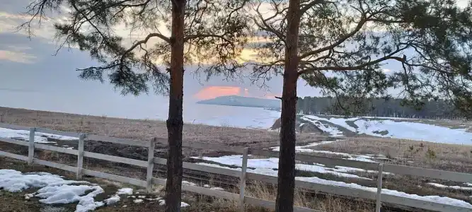 Наше место - 41