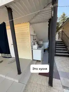 Платан - 32