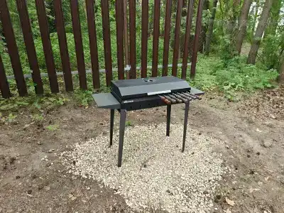 Сосновый берег - 40