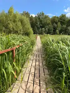 Русская Венеция - 21