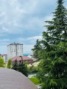 Семейная гавань - 1